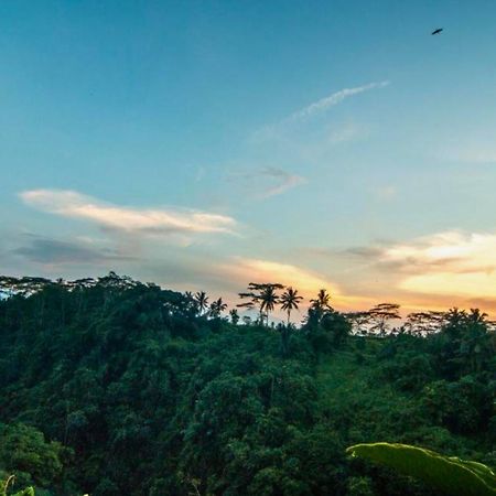 Panorama 4Br Villa Exclusive Presidential Zn58 Ubud  Exterior photo