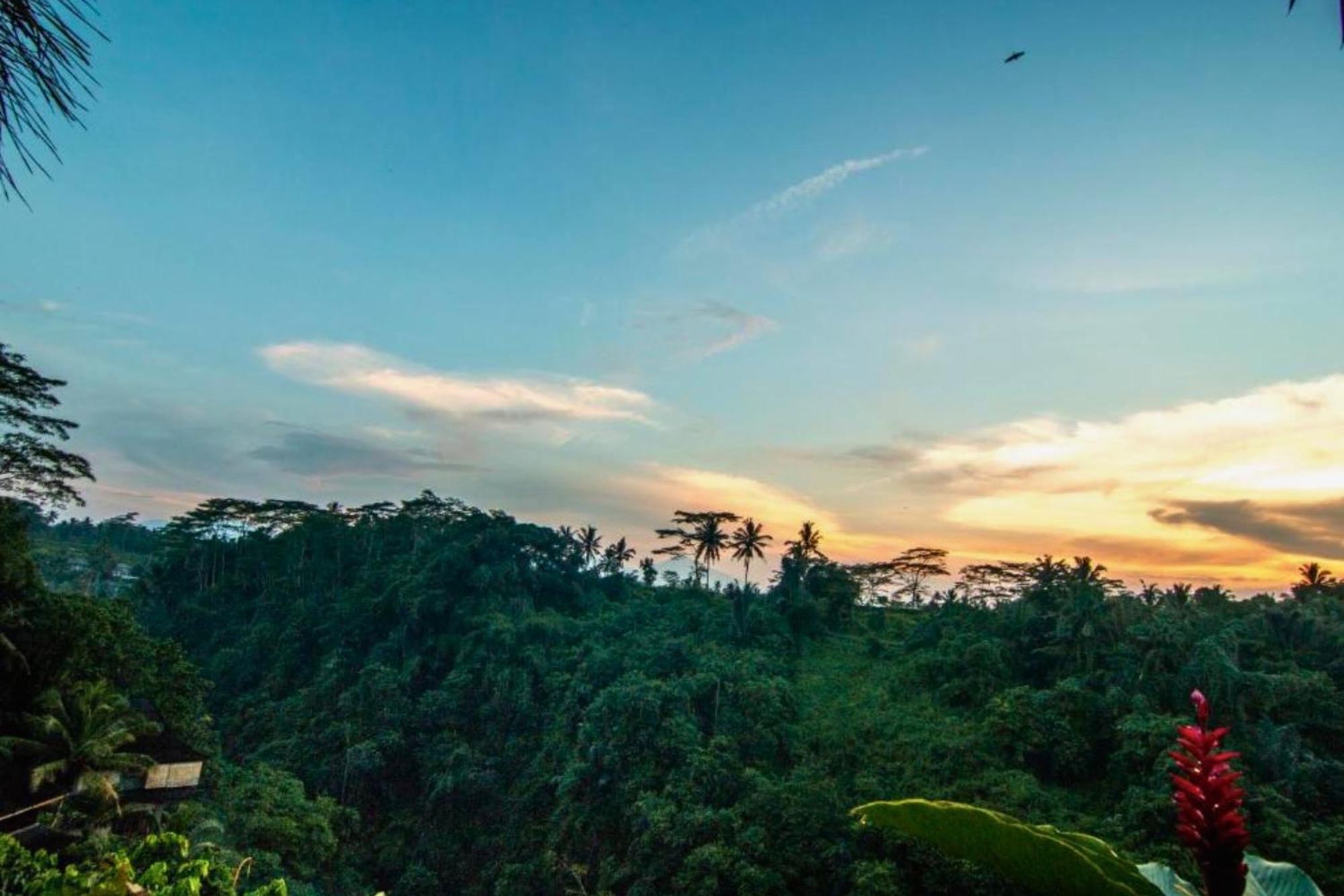 Panorama 4Br Villa Exclusive Presidential Zn58 Ubud  Exterior photo